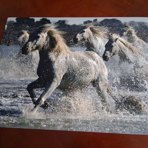 HORSES IN THE SEA