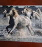 HORSES IN THE SEA