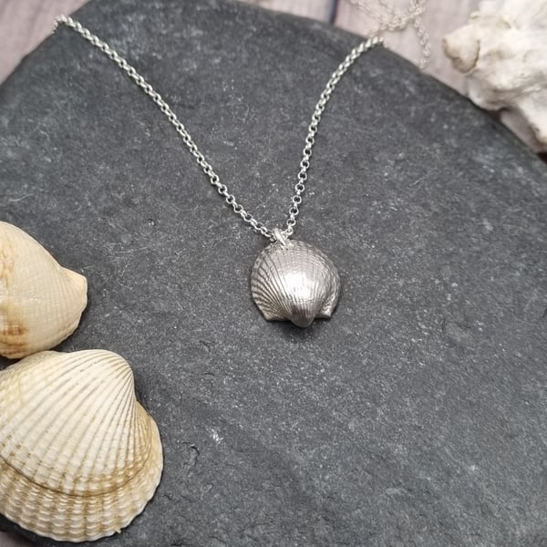 Real Cornish Cockle seashell preserved in silver, pendant necklace