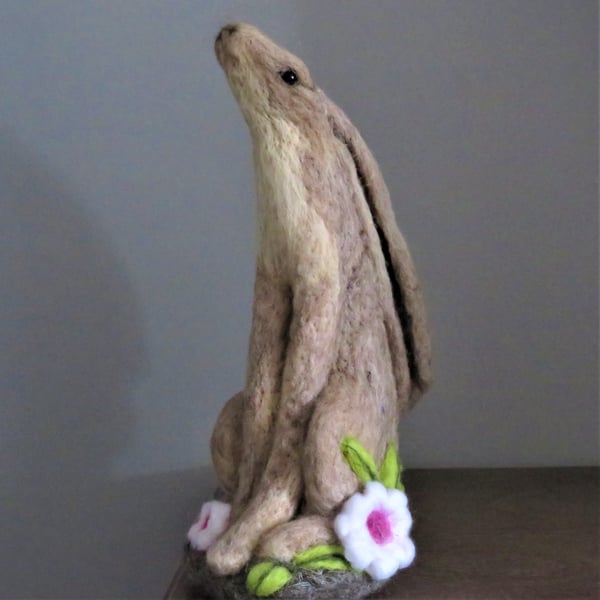 Spring Time Hare