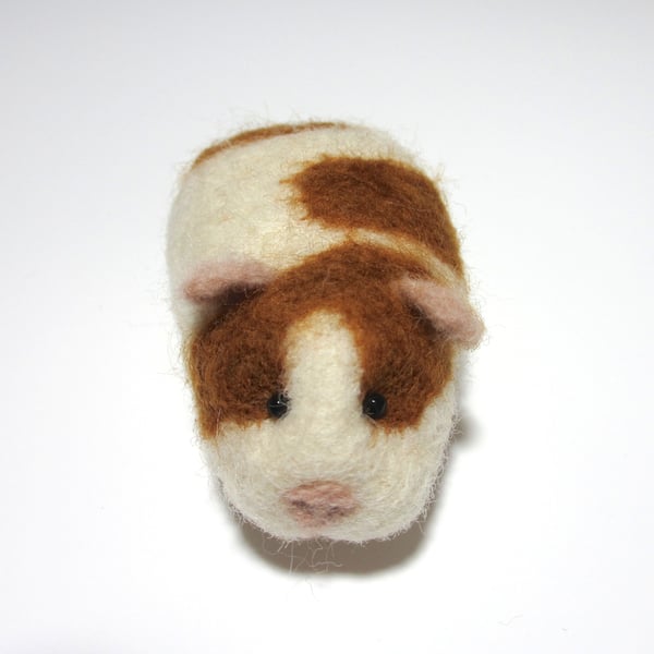 Guinea Pig - Complete with Box and Bedding 