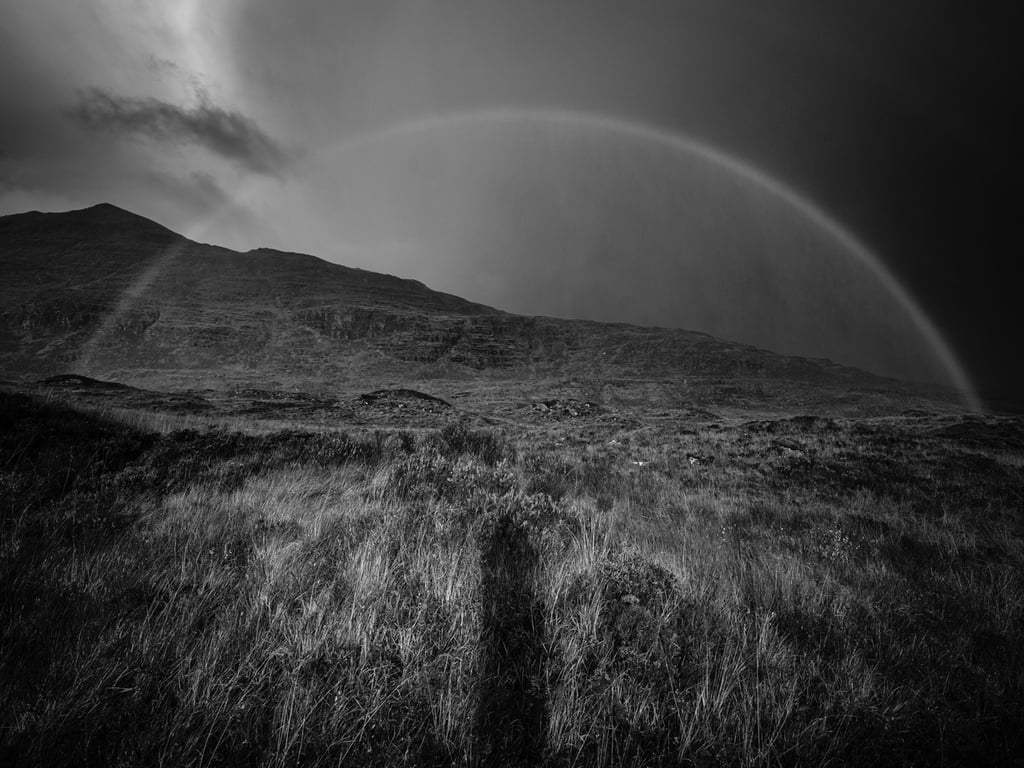 Gavin Maxwell Photography