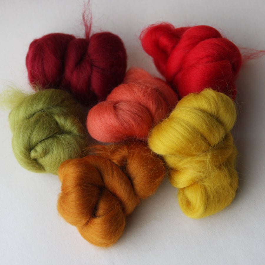 "Autumn Leaves" Wool Pack -  Merino wool tops for felting in autumnal colours