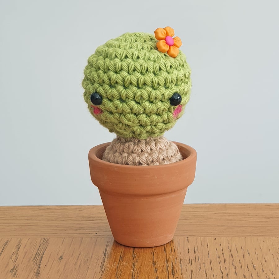 Rosie the Crochet Cactus