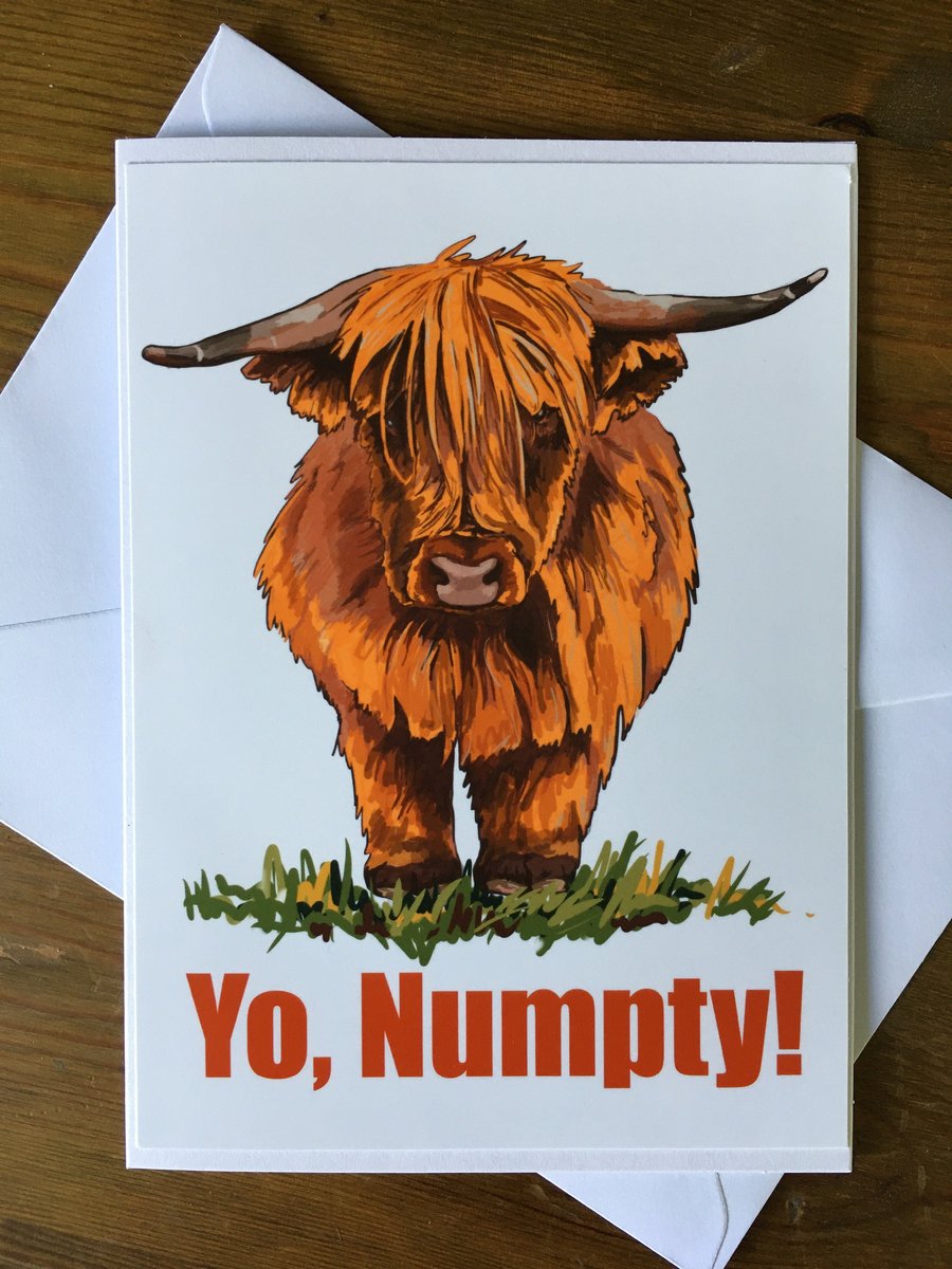 Numpty Greetings Card