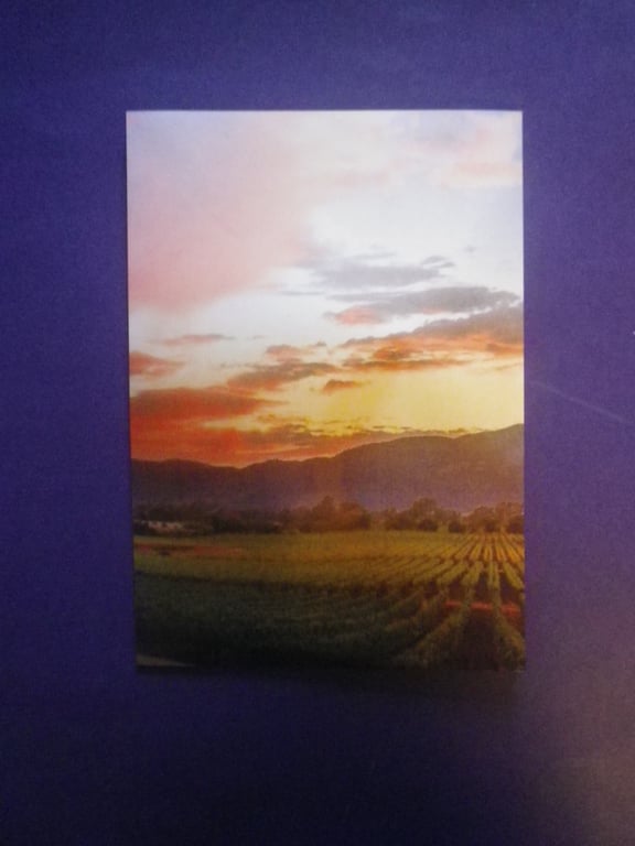 The Spring Crop.  A4 unframed ,mounted, free hook & easel free shipping ref 2451