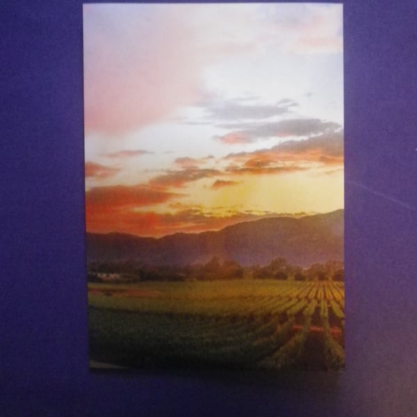 The Spring Crop.  A4 unframed ,mounted, free hook & easel free shipping ref 2451
