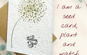 SEED CARDS