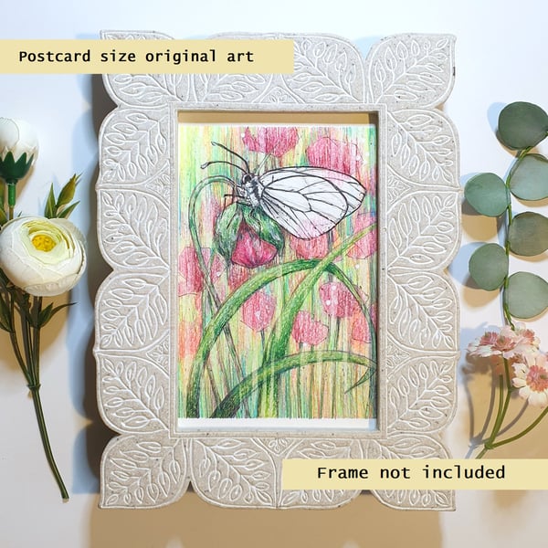 Black-veined white butterfly original postcard size drawing, artwork