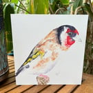 Gold Finch Greetings Card