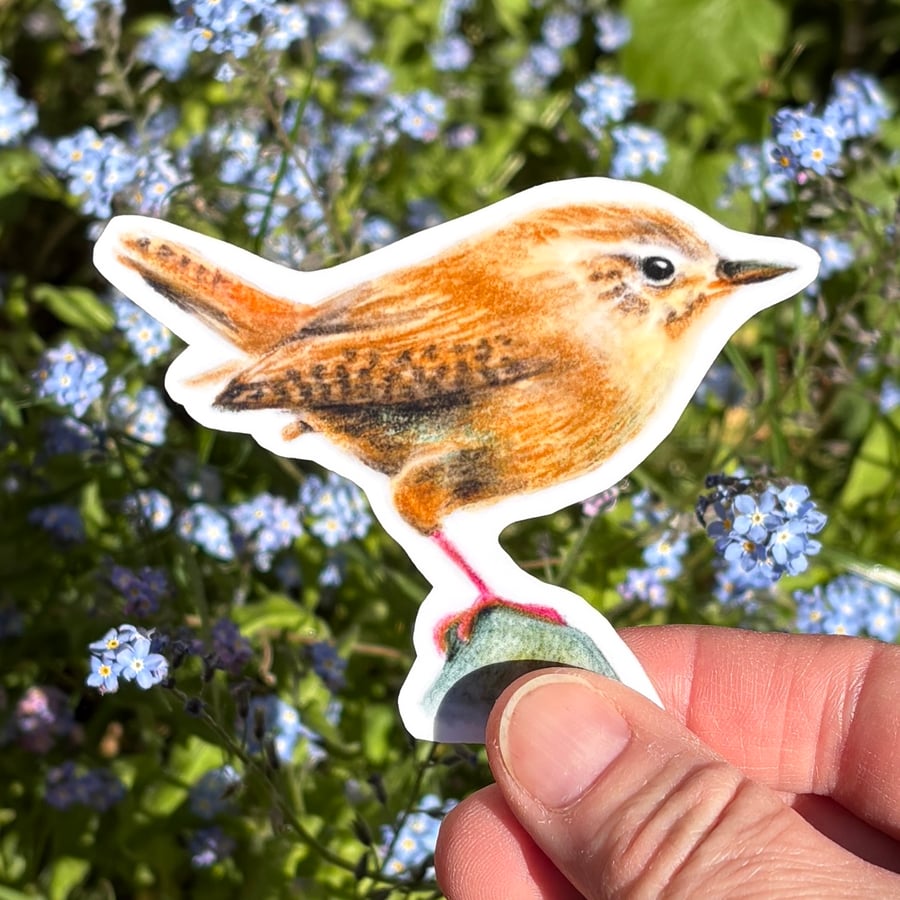European Wren Sticker