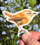 European Wren Sticker - Image 1