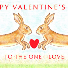  Hare Nose to Nose - Valentine Card