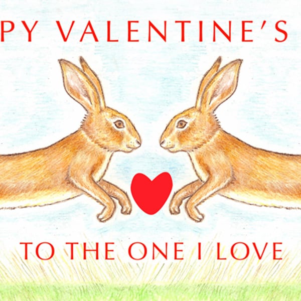  Hare Nose to Nose - Valentine Card