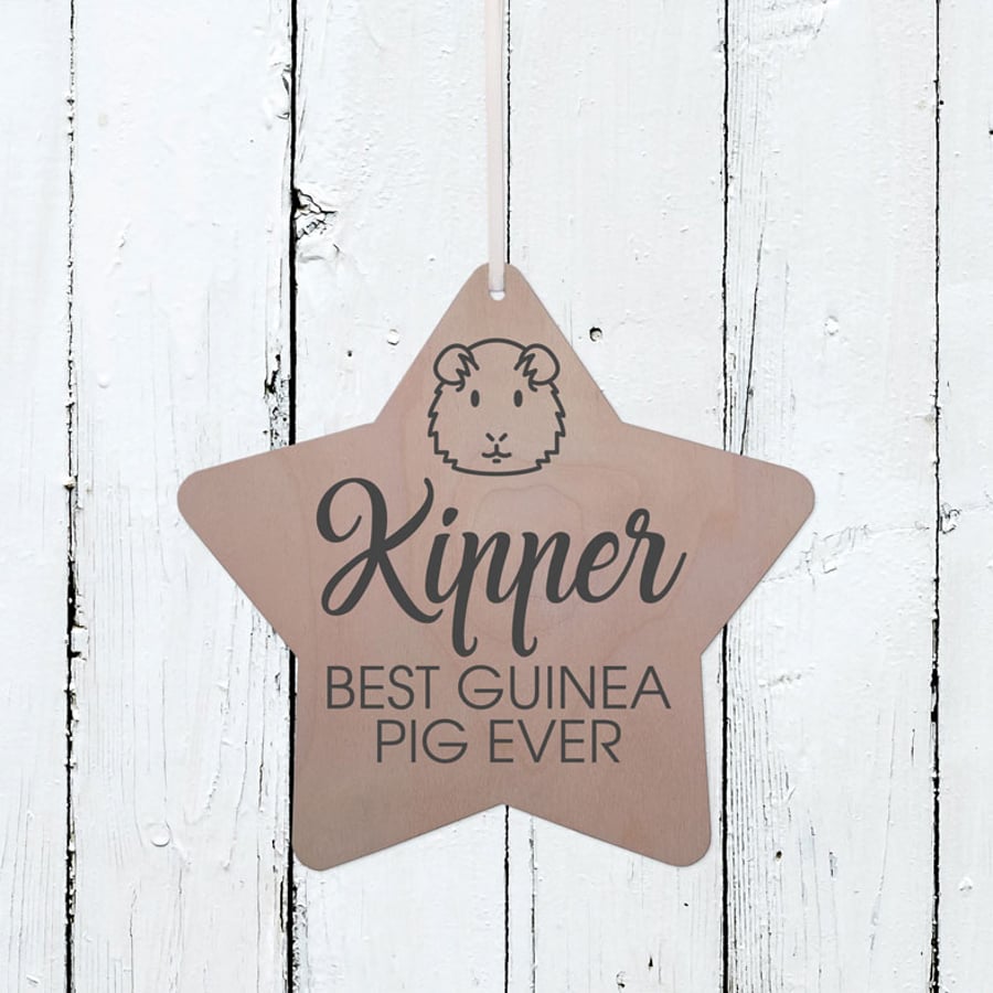 Guinea Pig - Personalised Hanging Star Plaque