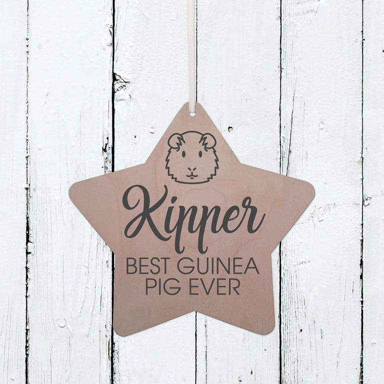 Guinea Pig - Personalised Wooden Hanging Star Plaque