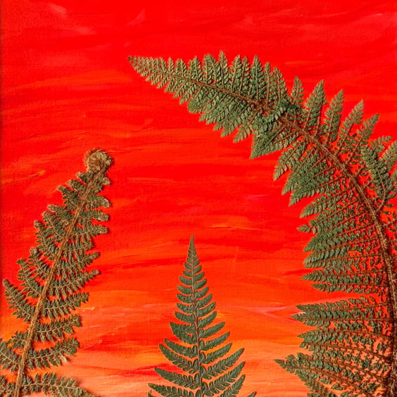 Original Mixed Media Acrylic Painting, 'Sunrise and Ferns', Pressed Ferns Framed