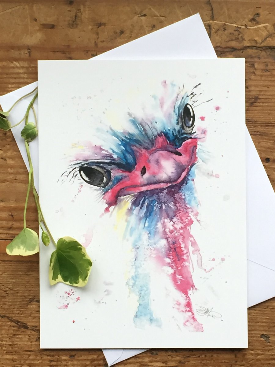 Ostrich Card, Ostrich Greetings Card, Art, Wildlife Art, Greeting Card, Art Card