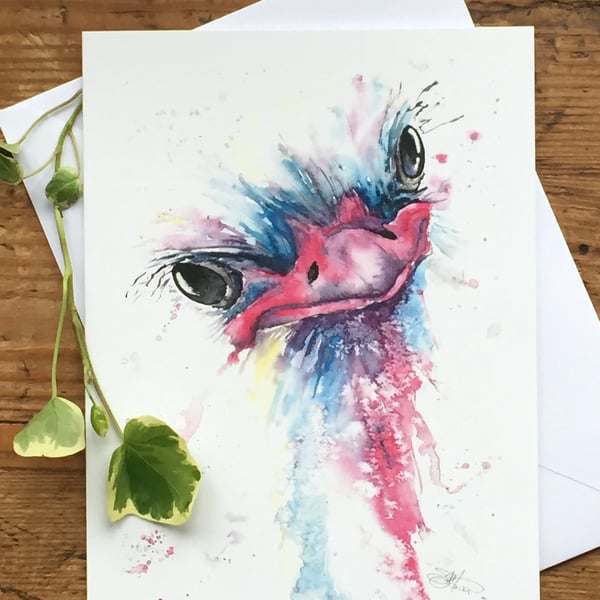 Ostrich Card, Ostrich Greetings Card, Art, Wildlife Art, Greeting Card, Art Card
