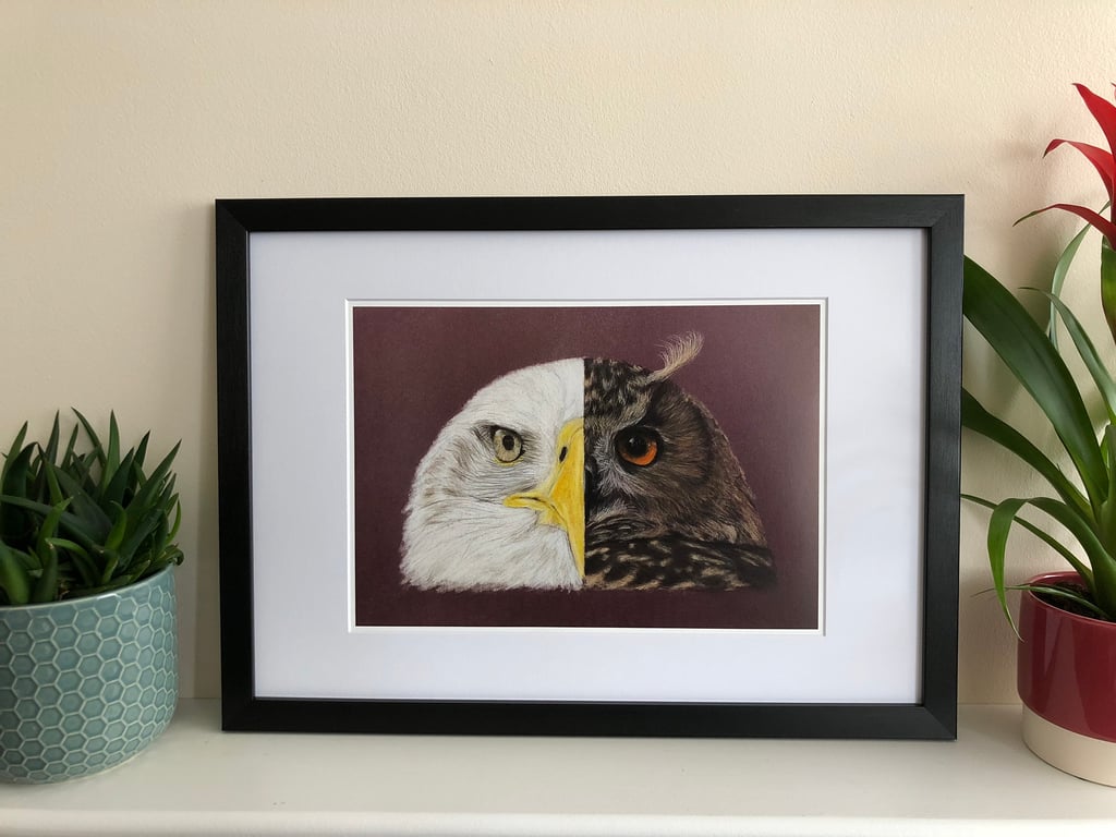 Eagle and Owl Fine Art Print