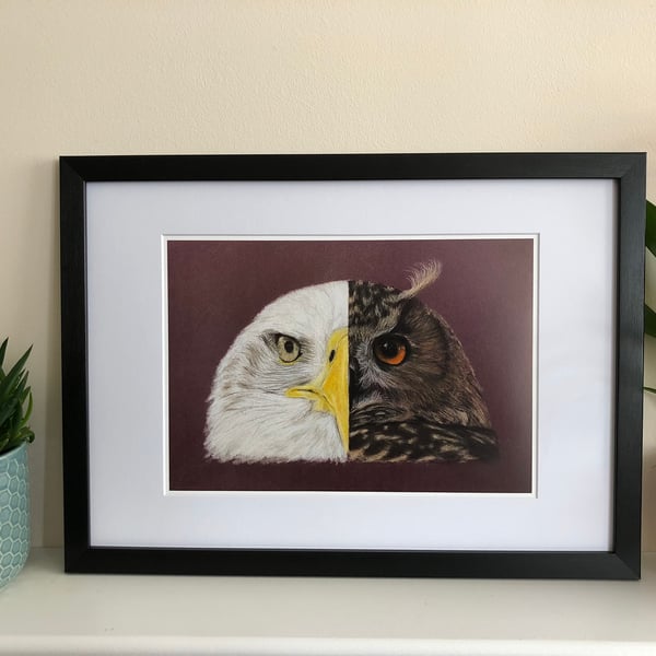 Eagle and Owl Fine Art Print