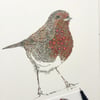 Robin Red Breast a4 mounted Print