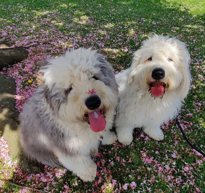Barney & Hobbs
