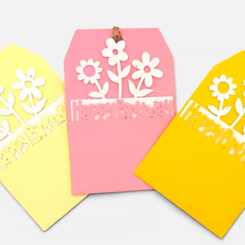 Plantable Birthday Gift Tags, Wildflower Seed Paper Inserts, Set of 3