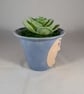 Blue Ceramic Small Container Artificial Succulent Plant Ornament Decoration. - Image 4