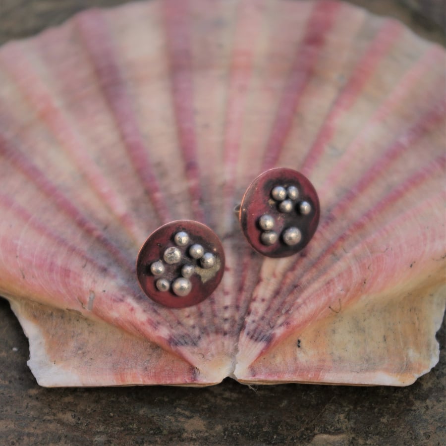 Copper  and Silver Barnacles Stud Earrings