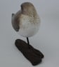 Sleepy dunlin - Image 3