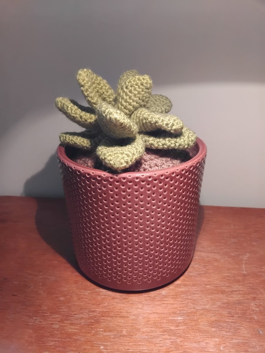 Crochet Succulent with ceramic pot 