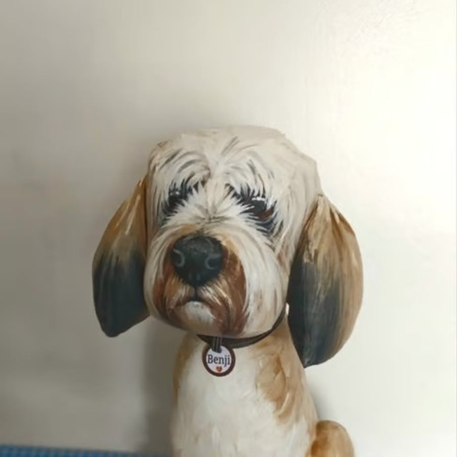 Fully Personalised Tibetan Terrier 