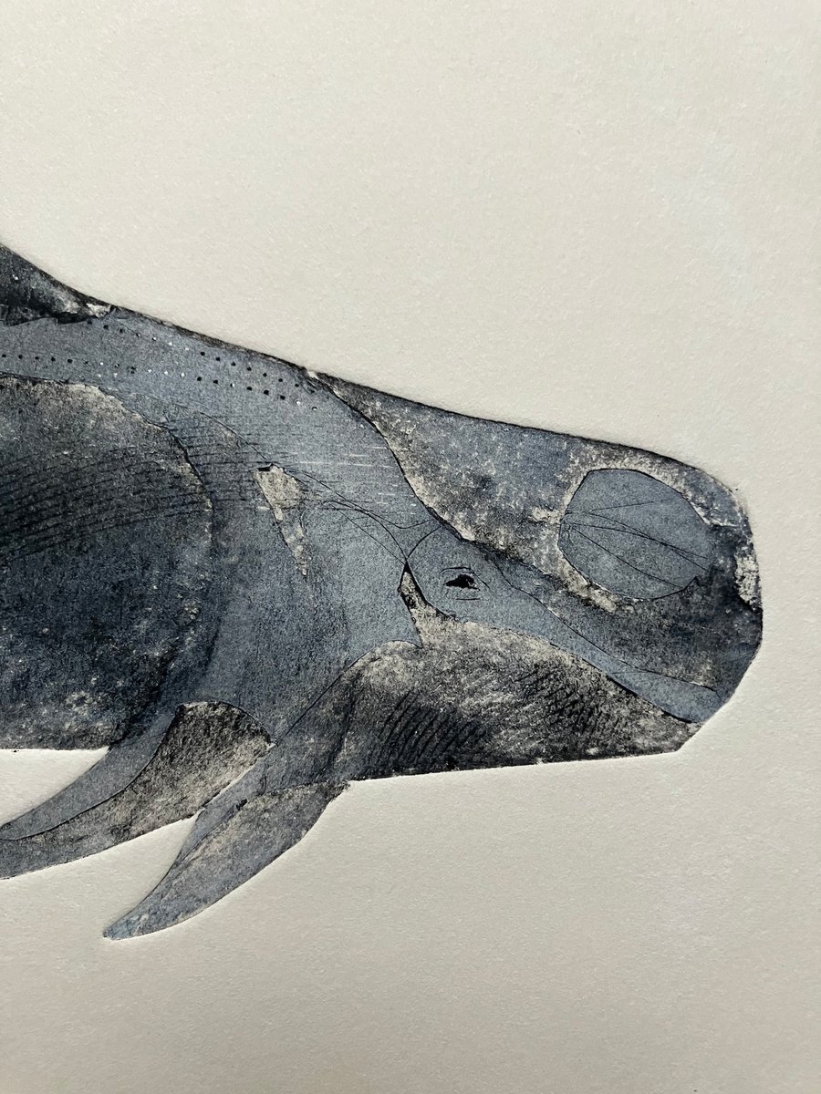 Pilot Whale A4 collagraph 