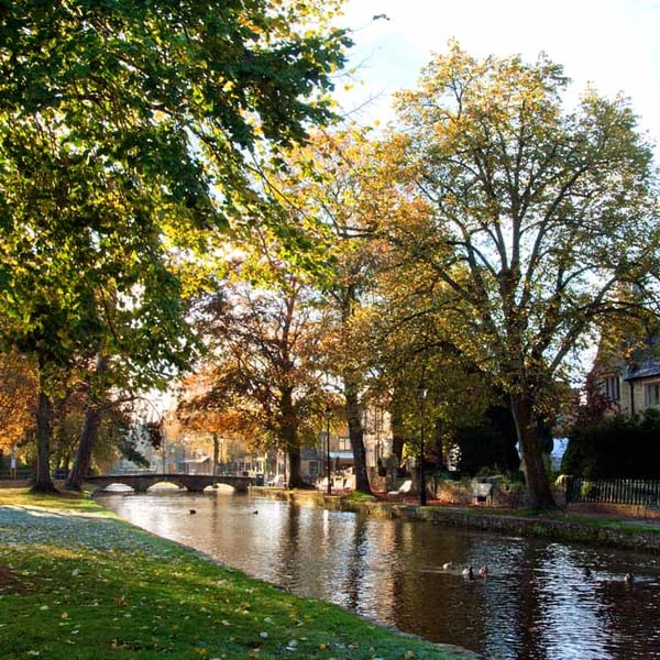 Bourton on the Water Autumn Trees Cotswolds UK Photograph Print