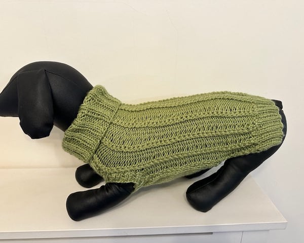 Dog Jumper - Ideal for a Miniature Dachshund or Small Dog