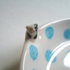 Hand made small spotty ceramic cat bowl with tiny cat and fish