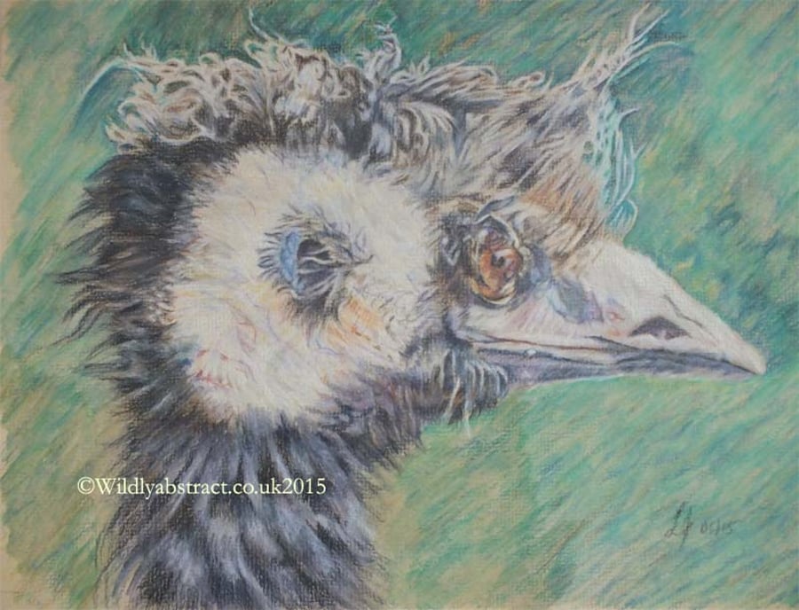 Original artwork - coloured pencil drawing of an Emu