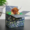Highland Cow Card. Blank or personalised Coo box card. 3D Gift card holder.