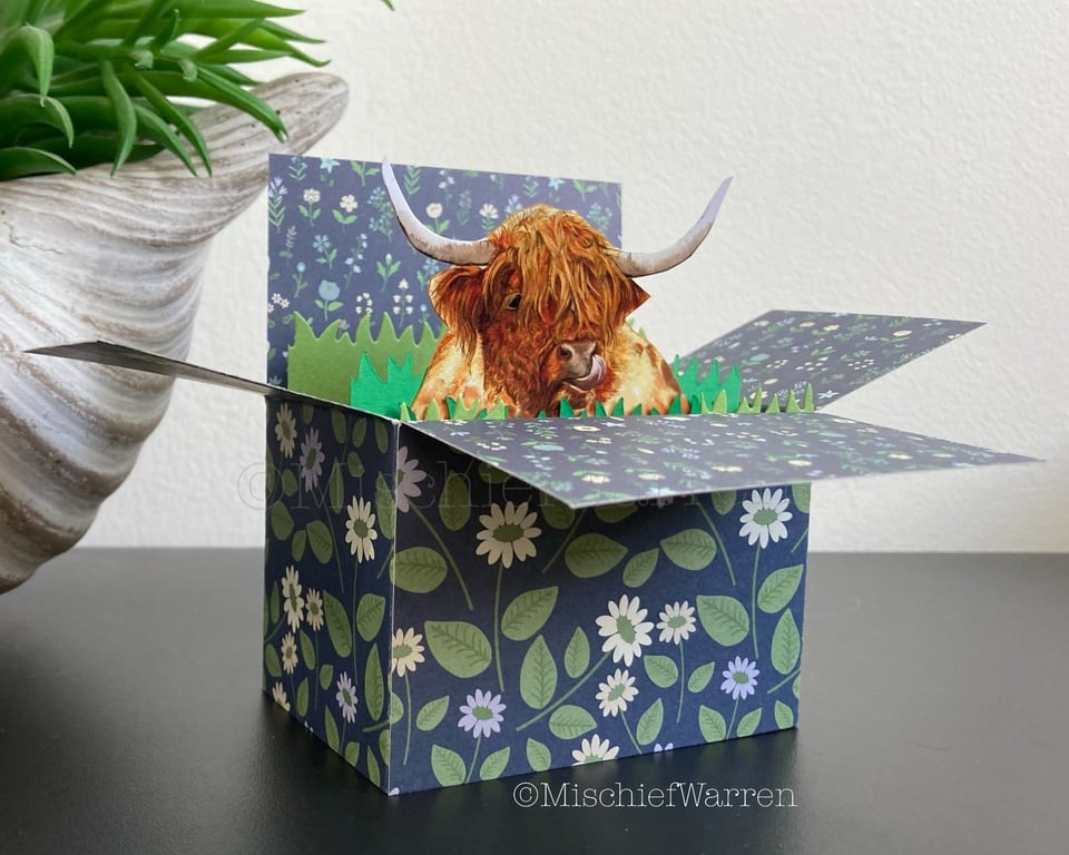 Highland Cow Card. Blank or personalised Coo box card. 3D Gift card holder.