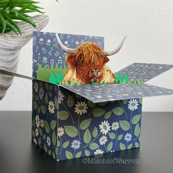 Highland Cow Card. Blank or personalised Coo box card. 3D Gift card holder.