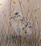 Curlews, an A4 or A3 mounted signed print. - Image 3