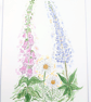 Foxglove, Daisy and Lupin original watercolour flower painting - Image 2