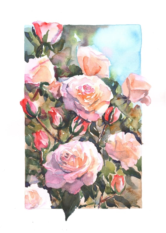 Rose Painting, Roses, Pink, Watercolour Roses, Rose, Wall Art, Original Painting