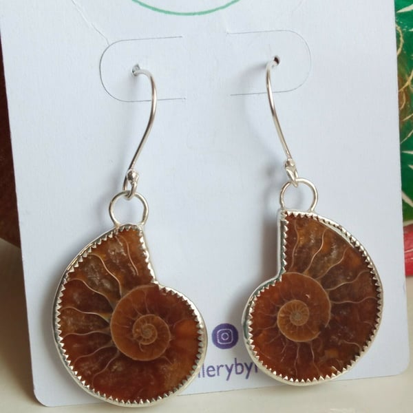 Fine & Sterling Silver Serrated Edge Earrings with Genuine Ammonite Fossils