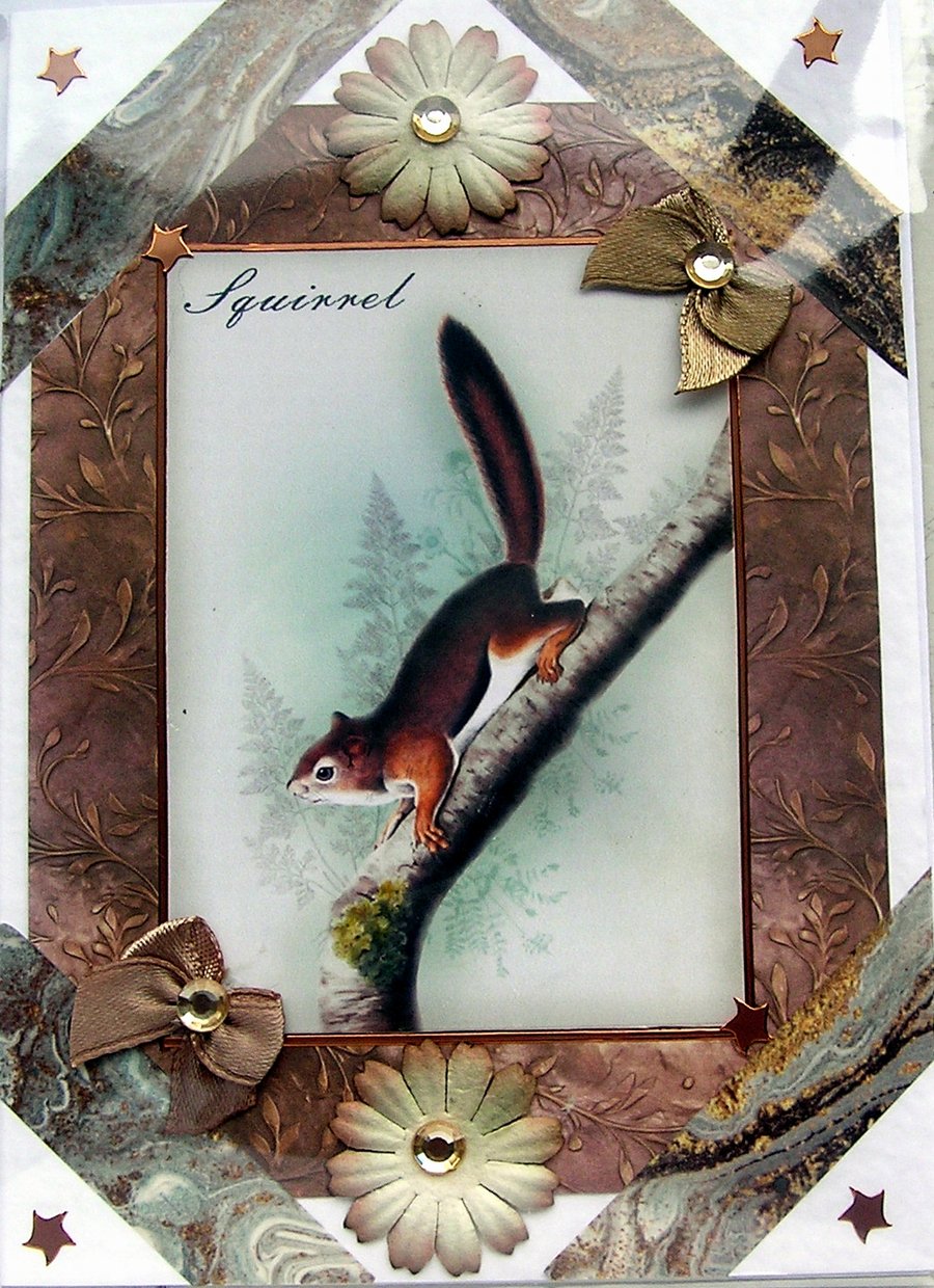 Red Squirrel - Hand Crafted Decoupage Greeting Card - Blank - 2836