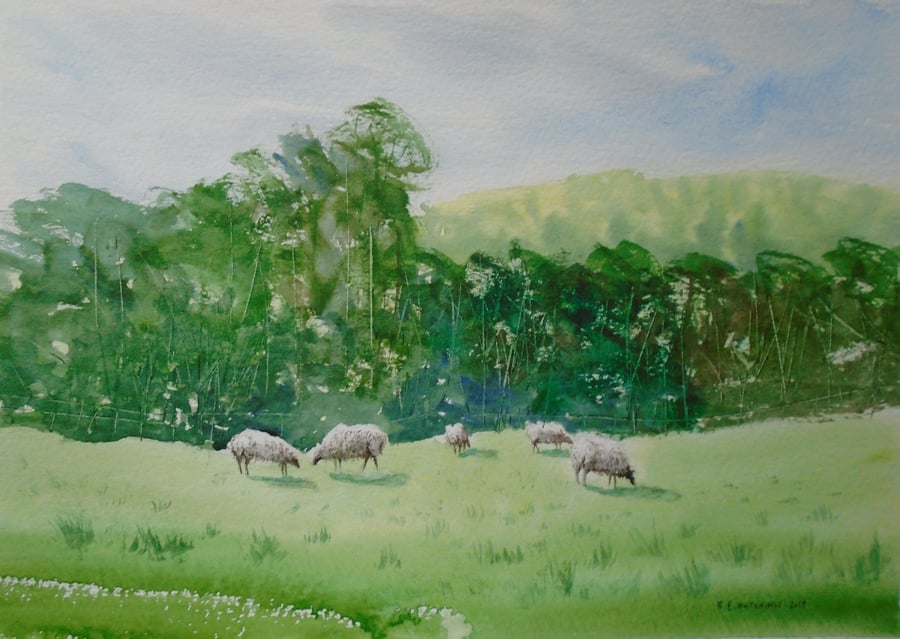 Kildale sheep (Pure original watercolour)