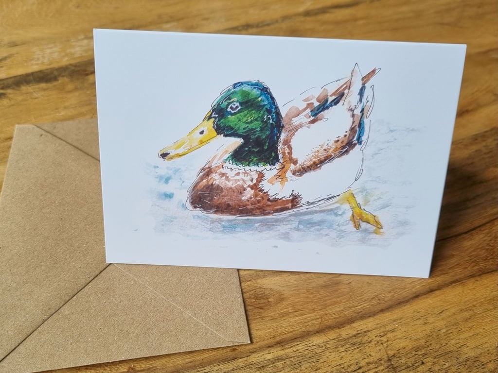 Greeting card - Mallard Duck - Blank