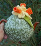 Daffodil tea cosy - hand knitted  - to fit a small teapot  - Image 4