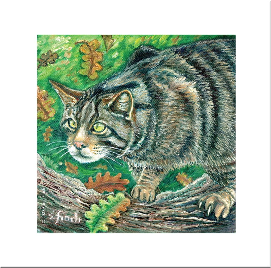 Spirit of Wildcat - Blank Card with Nature Spirit Totem message on reverse